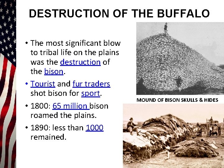 DESTRUCTION OF THE BUFFALO • The most significant blow to tribal life on the