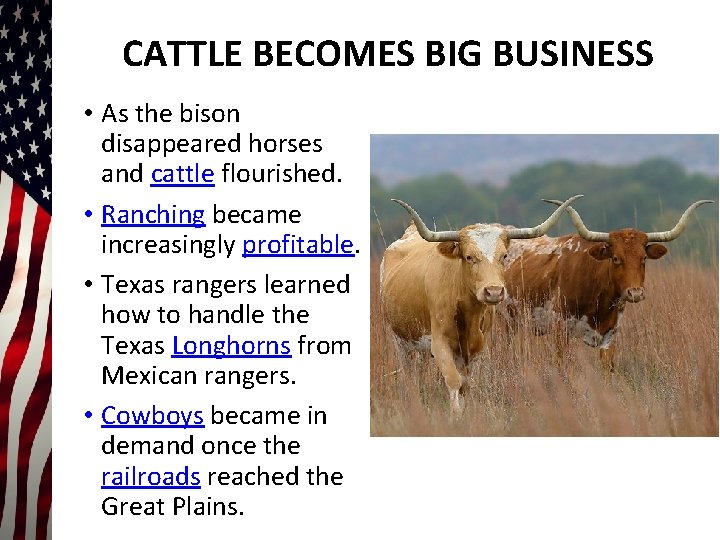 CATTLE BECOMES BIG BUSINESS • As the bison disappeared horses and cattle flourished. •