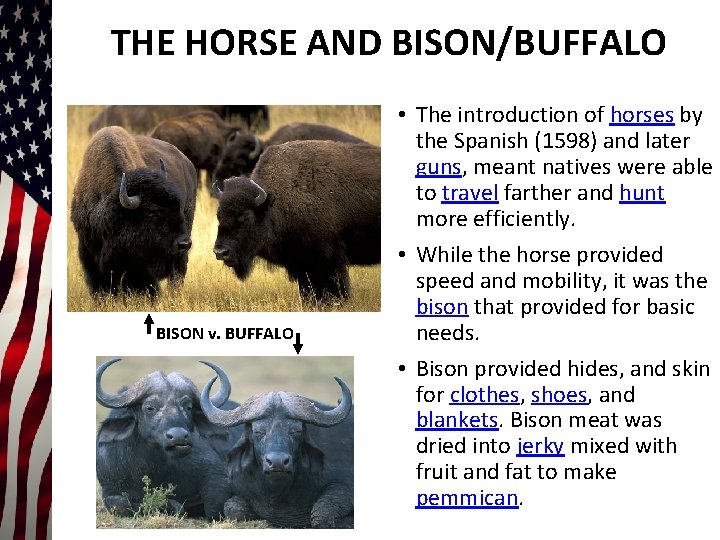 THE HORSE AND BISON/BUFFALO BISON v. BUFFALO • The introduction of horses by the