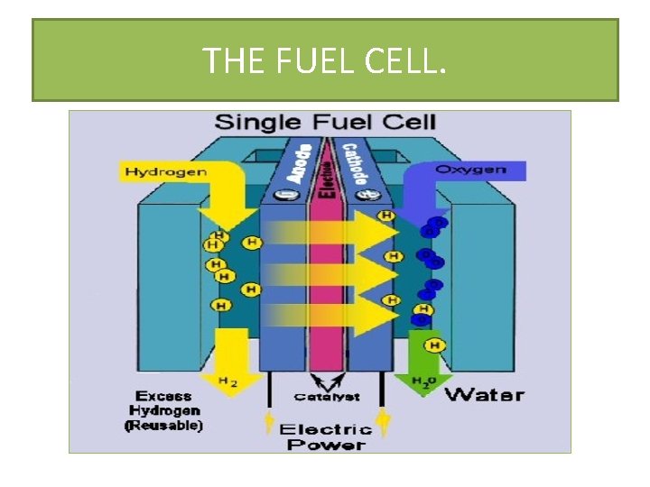 THE FUEL CELL. 