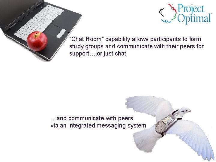 “Chat Room” capability allows participants to form study groups and communicate with their peers