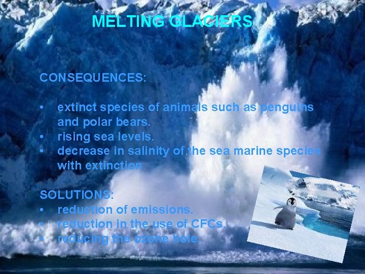 MELTING GLACIERS CONSEQUENCES: • • • extinct species of animals such as penguins and