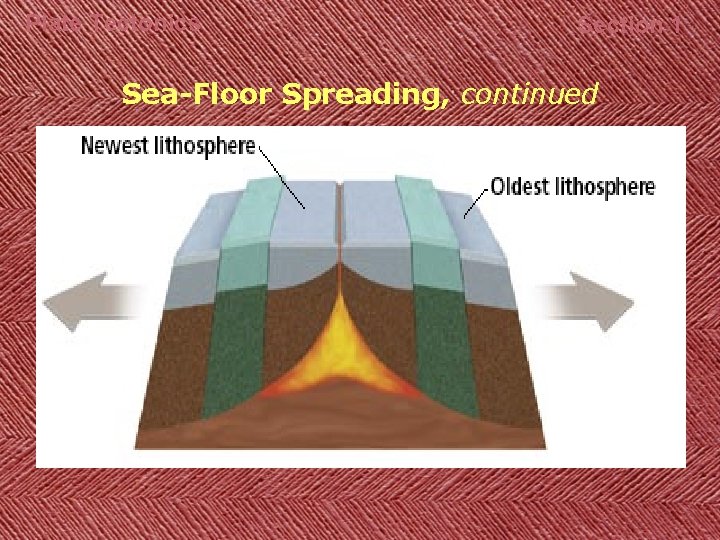 Plate Tectonics Section 1 Sea-Floor Spreading, continued 