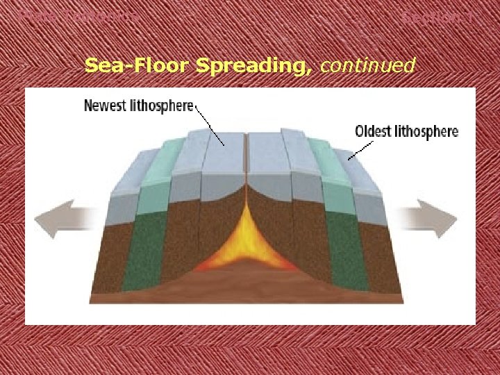 Plate Tectonics Section 1 Sea-Floor Spreading, continued 