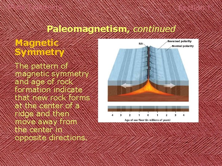 Plate Tectonics Paleomagnetism, continued Magnetic Symmetry The pattern of magnetic symmetry and age of