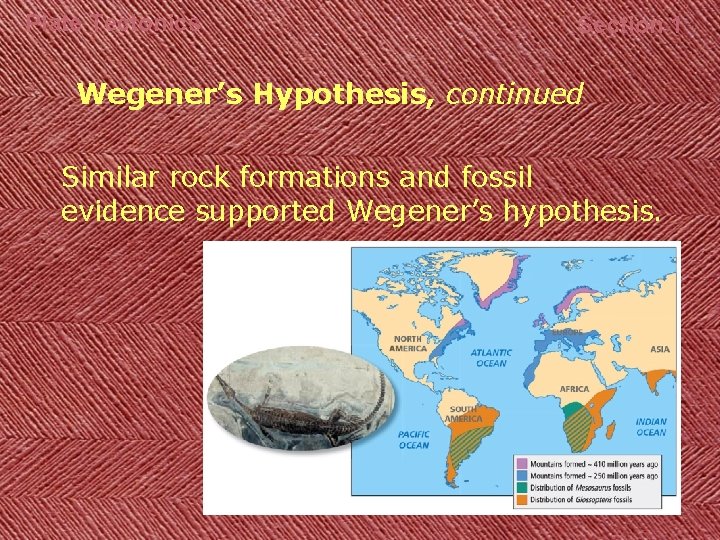 Plate Tectonics Section 1 Wegener’s Hypothesis, continued Similar rock formations and fossil evidence supported