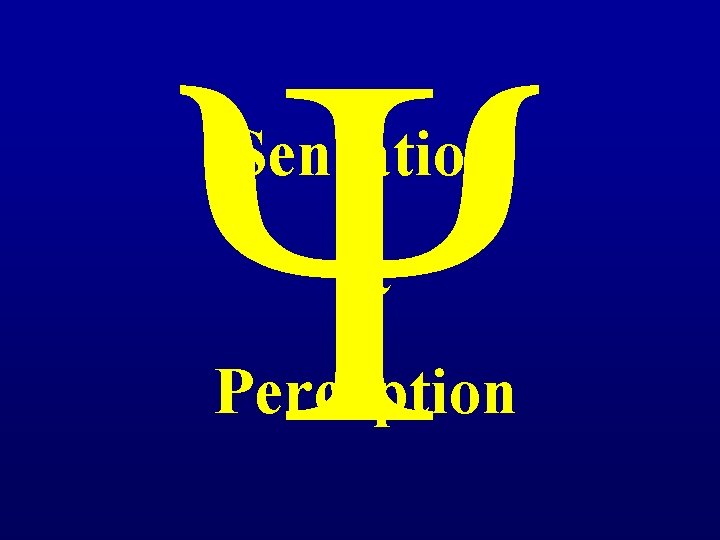 Ψ Sensation & Perception 