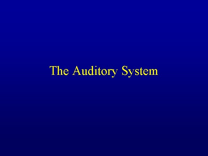 The Auditory System 