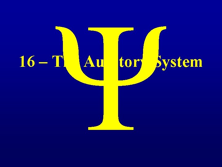 Ψ 16 – The Auditory System 