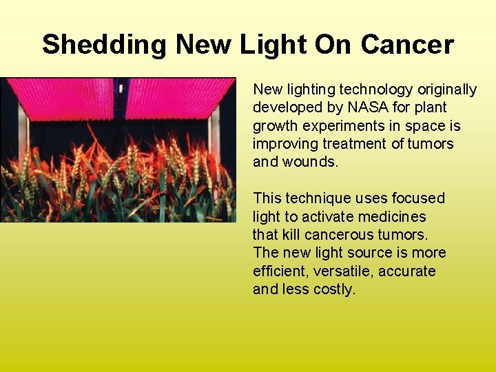 Shedding New Light On Cancer New lighting technology originally developed by NASA for plant Shedding New Light On Cancer New lighting technology originally developed by NASA for plant
