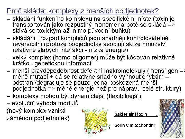 Proč skládat komplexy z menších podjednotek? – skládání funkčního komplexu na specifickém místě (toxin