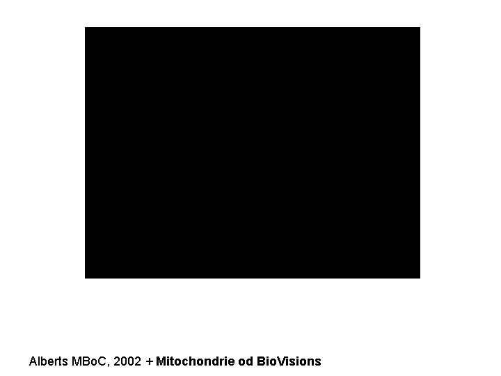 Alberts MBo. C, 2002 + Mitochondrie od Bio. Visions 