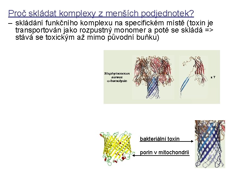 Proč skládat komplexy z menších podjednotek? – skládání funkčního komplexu na specifickém místě (toxin