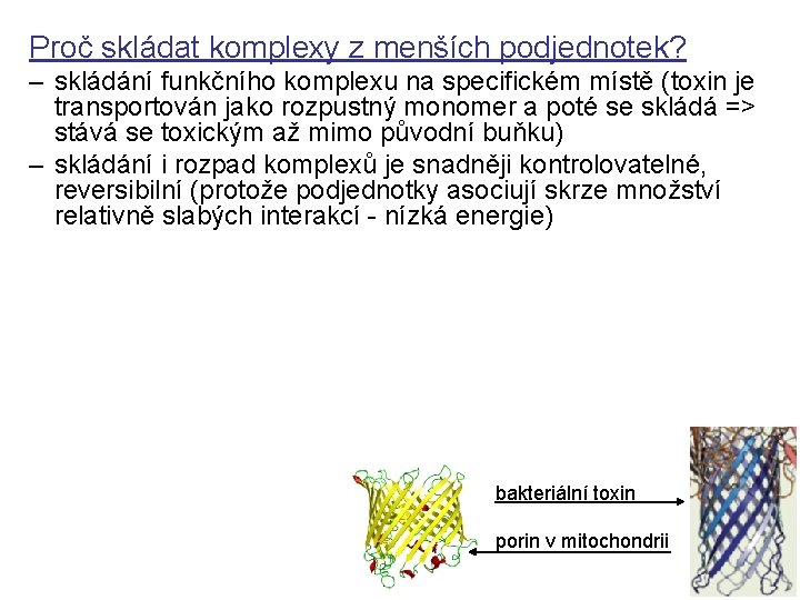 Proč skládat komplexy z menších podjednotek? – skládání funkčního komplexu na specifickém místě (toxin