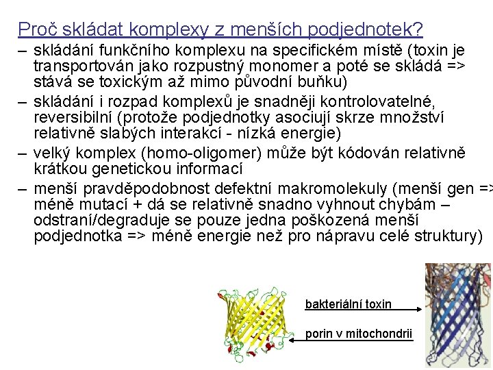 Proč skládat komplexy z menších podjednotek? – skládání funkčního komplexu na specifickém místě (toxin