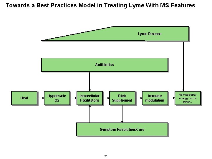 Towards a Best Practices Model in Treating Lyme With MS Features Lyme Disease Antibiotics Towards a Best Practices Model in Treating Lyme With MS Features Lyme Disease Antibiotics