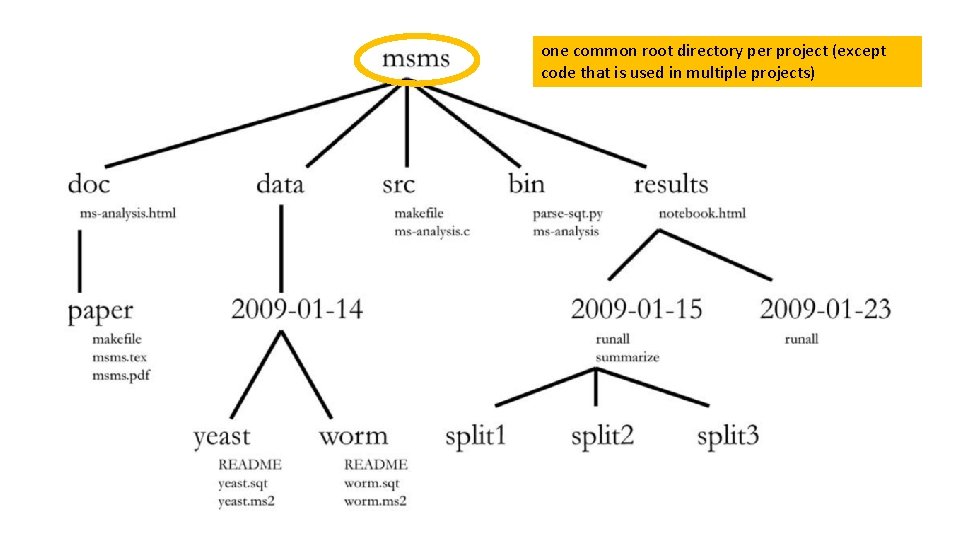 one common root directory per project (except code that is used in multiple projects)