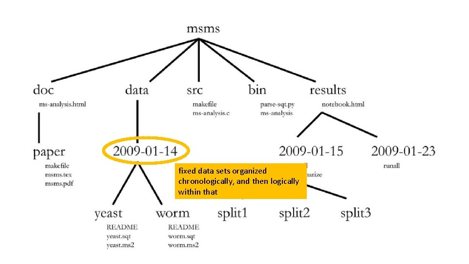 fixed data sets organized chronologically, and then logically within that 