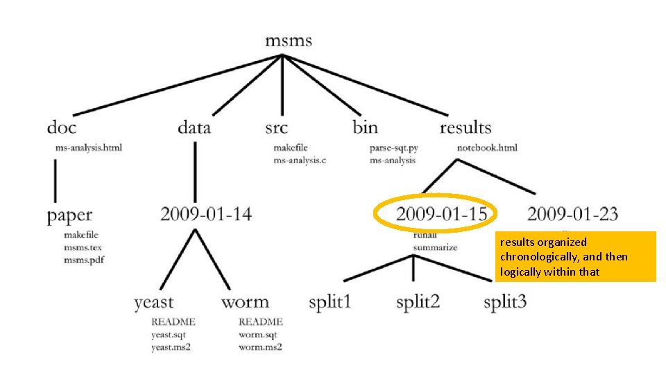 results organized chronologically, and then logically within that 