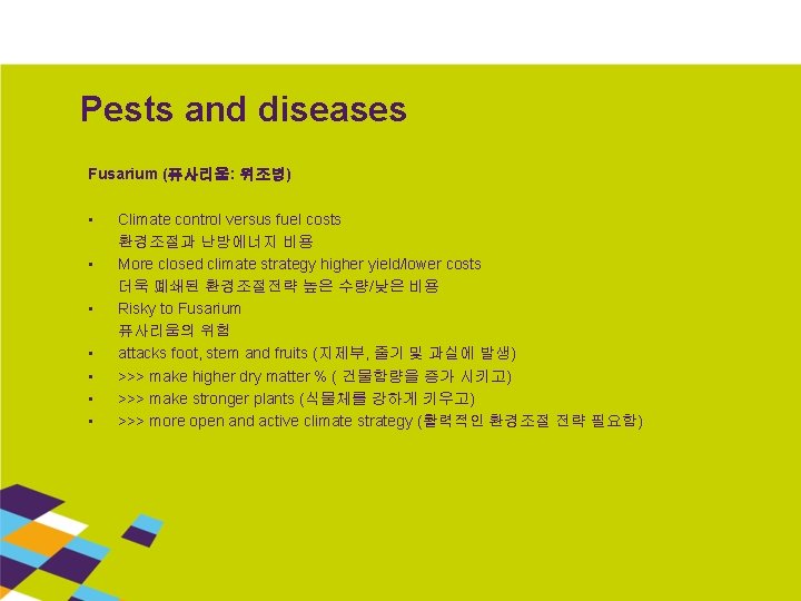 Pests and diseases Fusarium (퓨사리움: 위조병) • • Climate control versus fuel costs 환경조절과