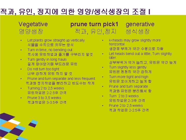 적과, 유인, 정지에 의한 영양/생식생장의 조절 I Vegetative 영양생장 • • prune turn pick