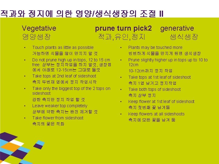 적과와 정지에 의한 영양/생식생장의 조절 II Vegetative 영양생장 • • • prune turn pick