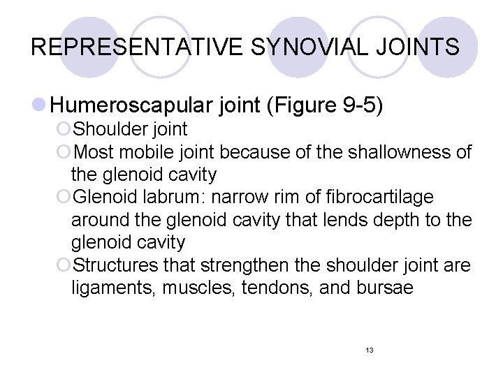 REPRESENTATIVE SYNOVIAL JOINTS l Humeroscapular joint (Figure 9 -5) ¡Shoulder joint ¡Most mobile joint REPRESENTATIVE SYNOVIAL JOINTS l Humeroscapular joint (Figure 9 -5) ¡Shoulder joint ¡Most mobile joint