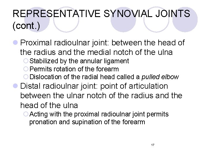REPRESENTATIVE SYNOVIAL JOINTS (cont. ) l Proximal radioulnar joint: between the head of the REPRESENTATIVE SYNOVIAL JOINTS (cont. ) l Proximal radioulnar joint: between the head of the