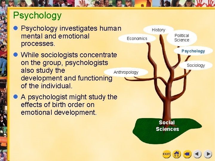 Psychology investigates human mental and emotional processes. History Economics Political Science Psychology While sociologists