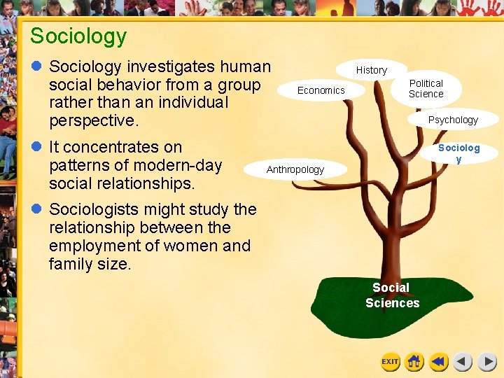 Sociology investigates human social behavior from a group rather than an individual perspective. It