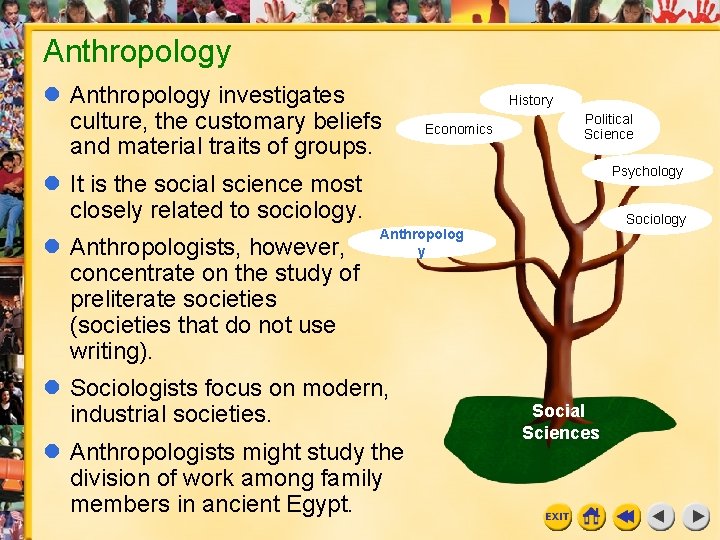 Anthropology investigates culture, the customary beliefs and material traits of groups. History Economics Political