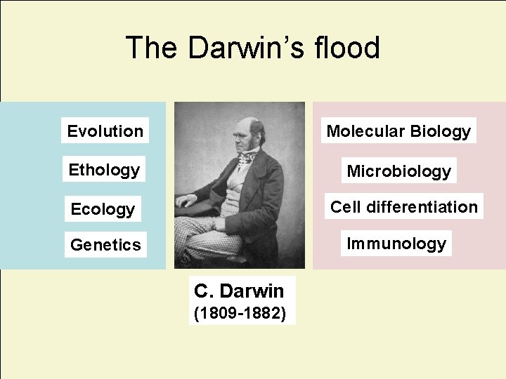 The Darwin’s flood Evolution Molecular Biology Ethology Microbiology Cell differentiation Ecology Immunology Genetics C.