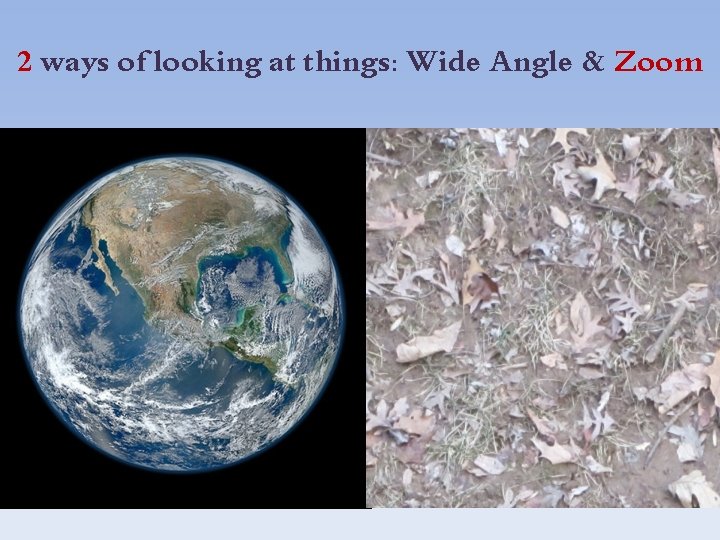 2 ways of looking at things: Wide Angle & Zoom 