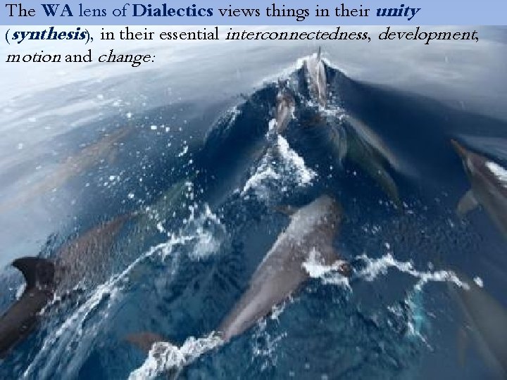 The WA lens of Dialectics views things in their unity (synthesis), in their essential