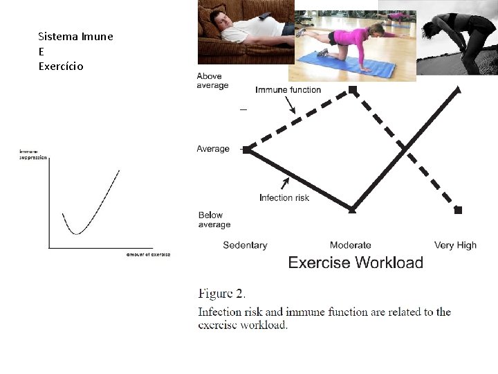 Sistema Imune E Exercício 