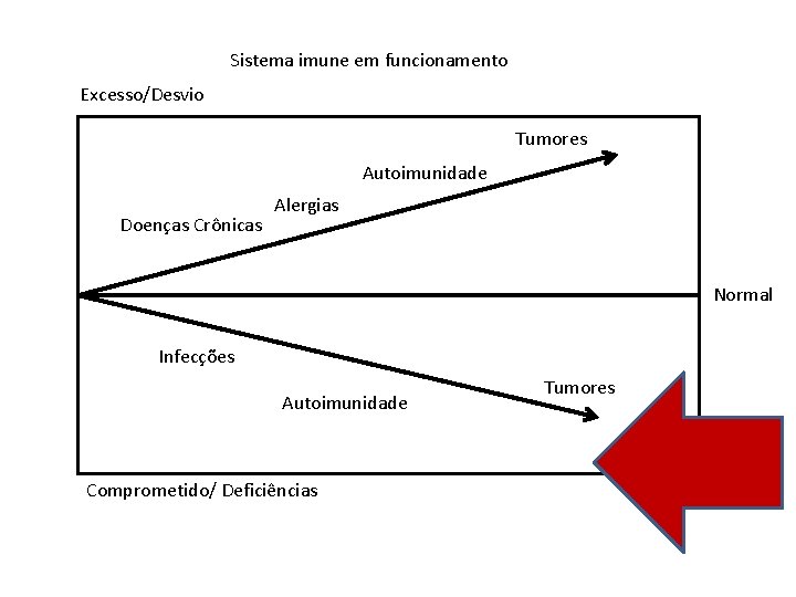 Sistema imune em funcionamento Excesso/Desvio Tumores Autoimunidade Doenças Crônicas Alergias Normal Infecções Autoimunidade Comprometido/