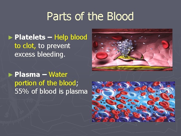 Parts of the Blood ► Platelets – Help blood to clot, to prevent excess