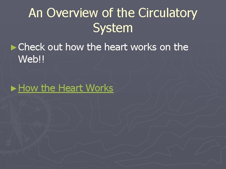 An Overview of the Circulatory System ► Check Web!! ► How out how the