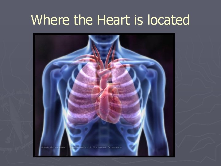 Where the Heart is located 