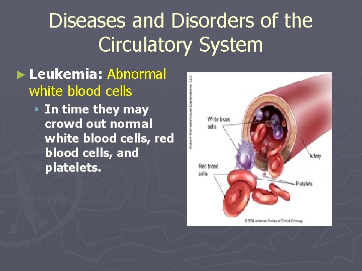 Diseases of the circulatory system and treatment