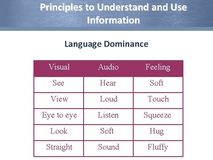 Principles to Understand Use Information Language Dominance Visual Audio Feeling See Hear Soft View