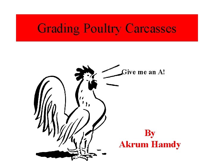 Grading Poultry Carcasses Give me an A! By Akrum Hamdy 