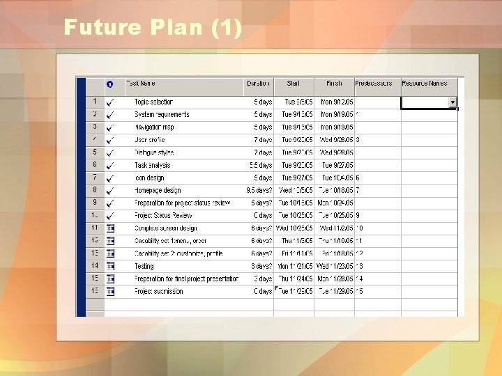 Future Plan (1) 