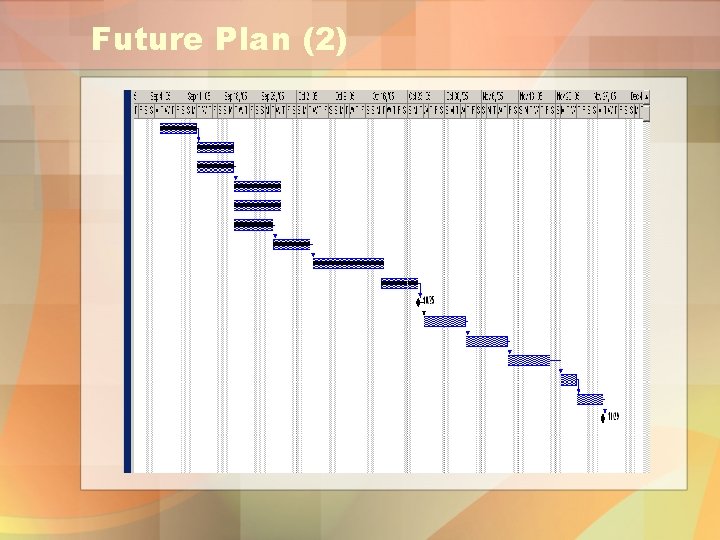 Future Plan (2) 