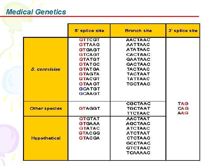 Medical Genetics 