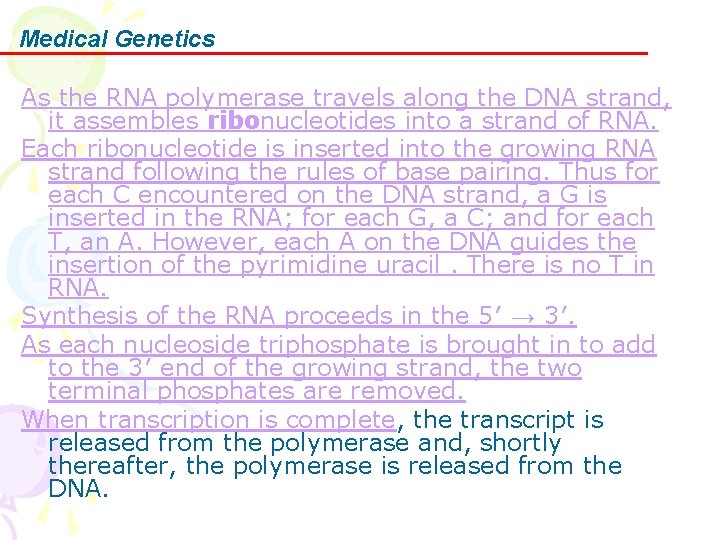 Medical Genetics As the RNA polymerase travels along the DNA strand, it assembles ribonucleotides