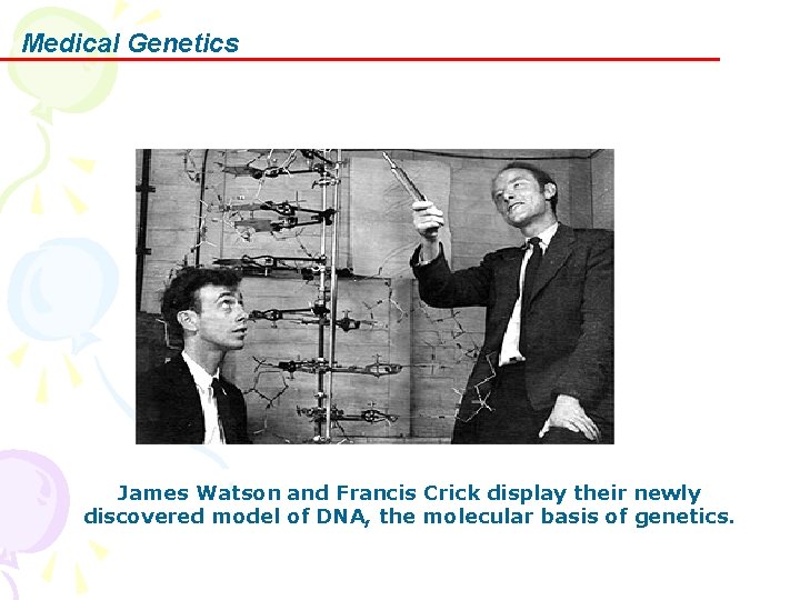 Medical Genetics James Watson and Francis Crick display their newly discovered model of DNA,