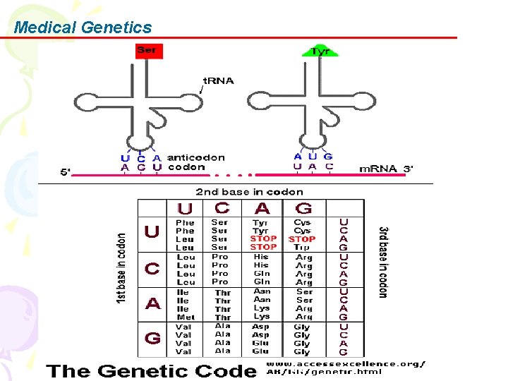 Medical Genetics 