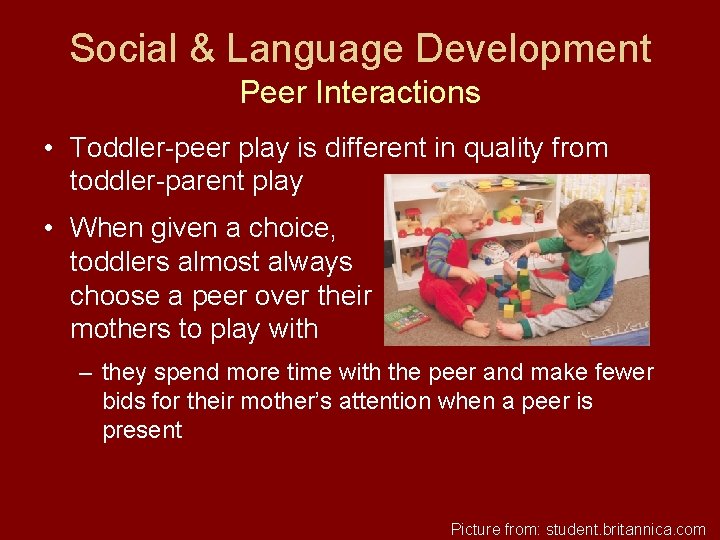 Social & Language Development Peer Interactions • Toddler-peer play is different in quality from