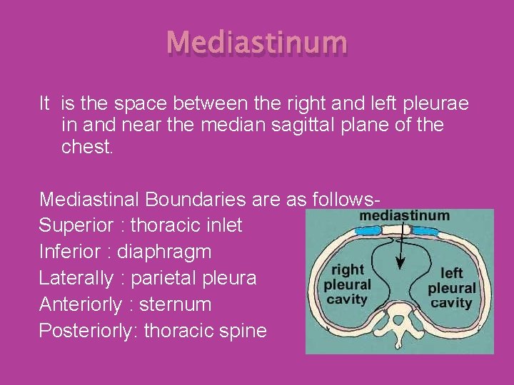 Mediastinum It is the space between the right and left pleurae in and near